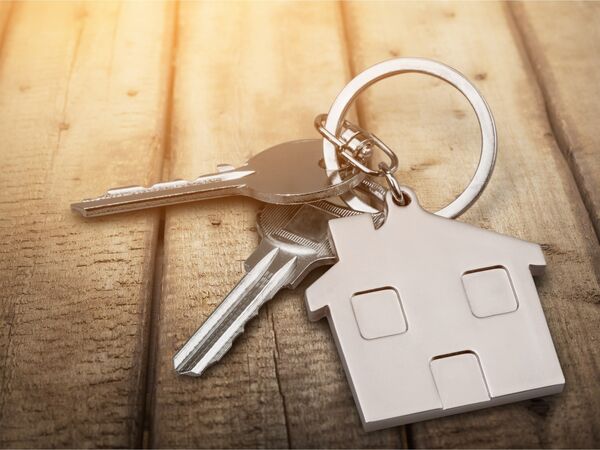 Shutterstock 558121432