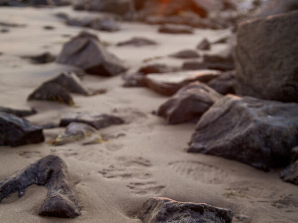 footprints in sand